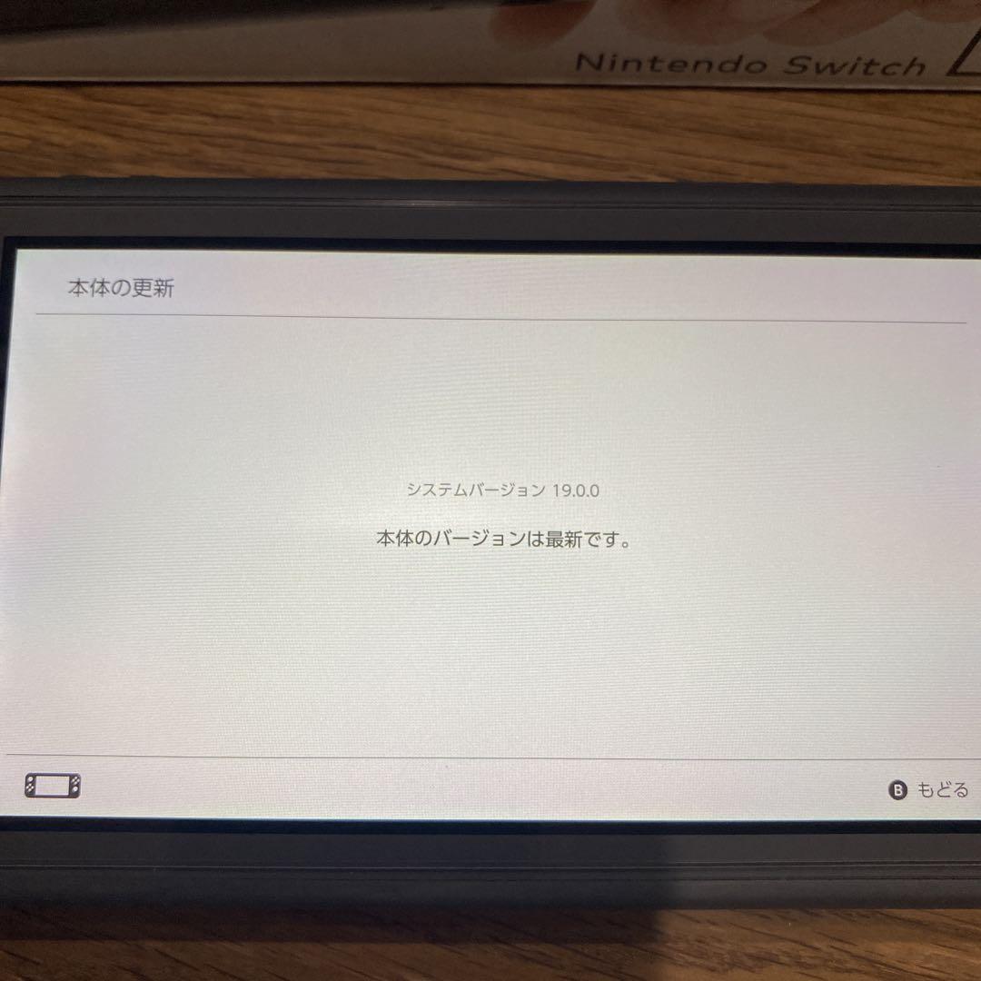 Riru724　Nintendo Switch Lite グレー 本体