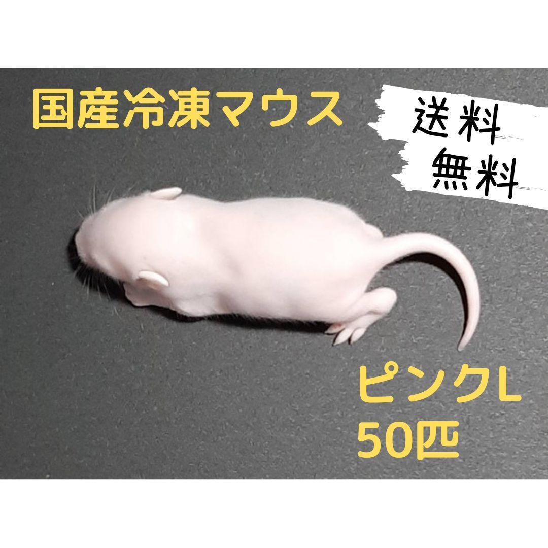 Amazon | みどり商会 暖突 L サイズ | みどり商会 | 保温球