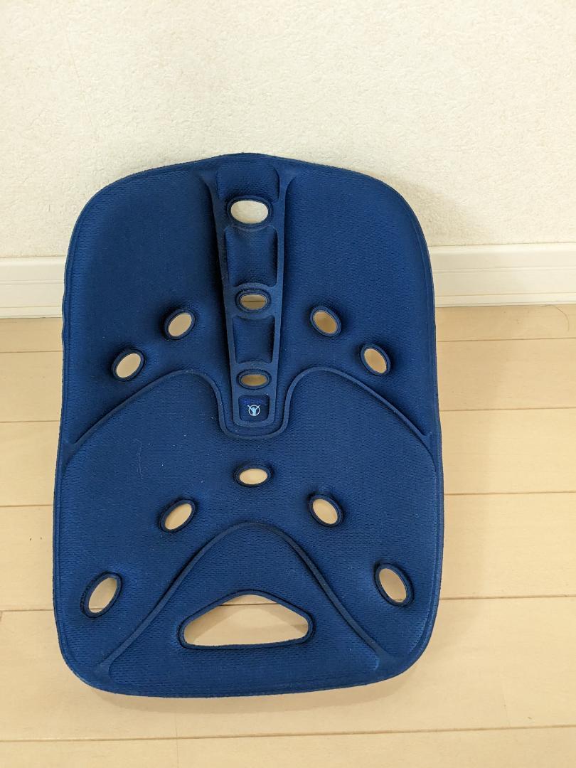 Backjoy バックジョイ SitSmart 骨盤サポートシート ブルー