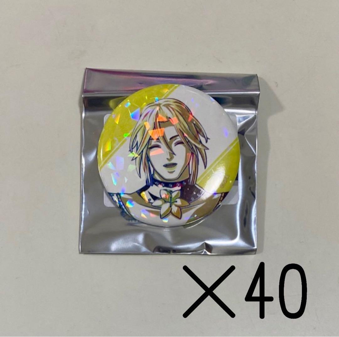 コンパス アニアート Ani-art ポロロッチョ 缶バッチ 40点新品、♥