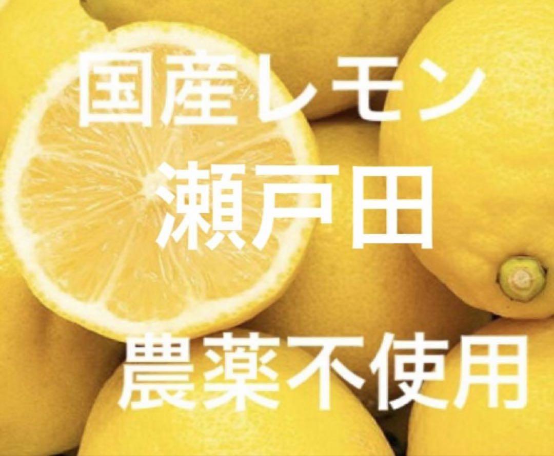 国産瀬戸田レモン13 - メルカリ