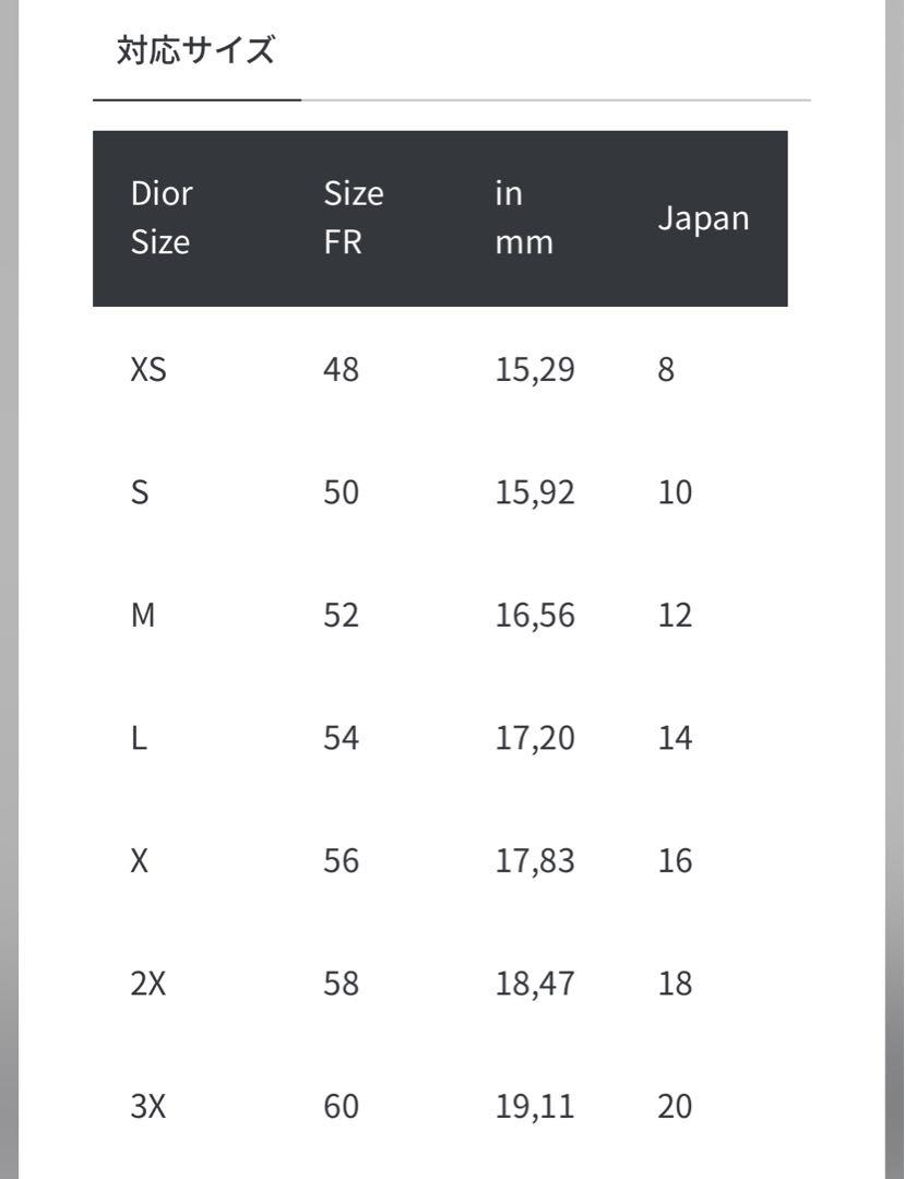 Dior シルバーリング ロゴ入り　Sサイズ　JP10