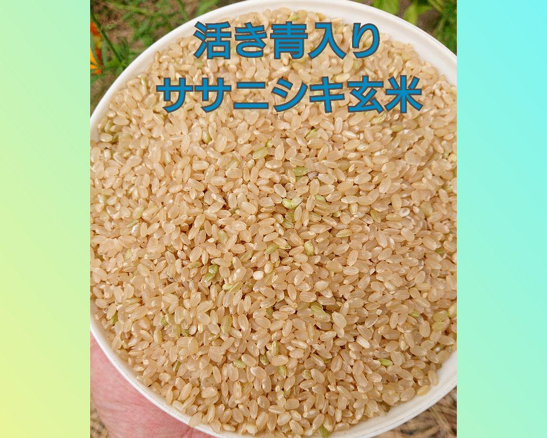 好評大特価 農薬化学肥料不使用栽培米 ササニシキ玄米24kg送料無料 H87Lq-m42165811871 正規店新品