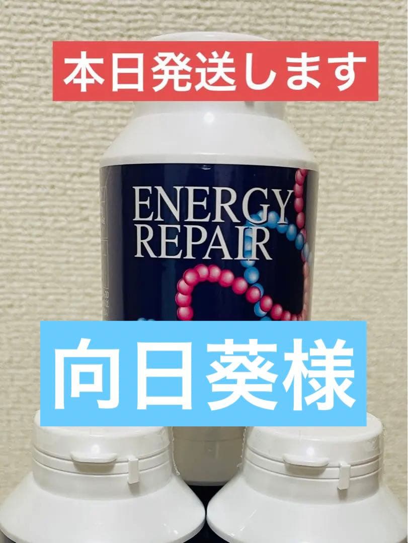 ENERGY REPAIR 1個