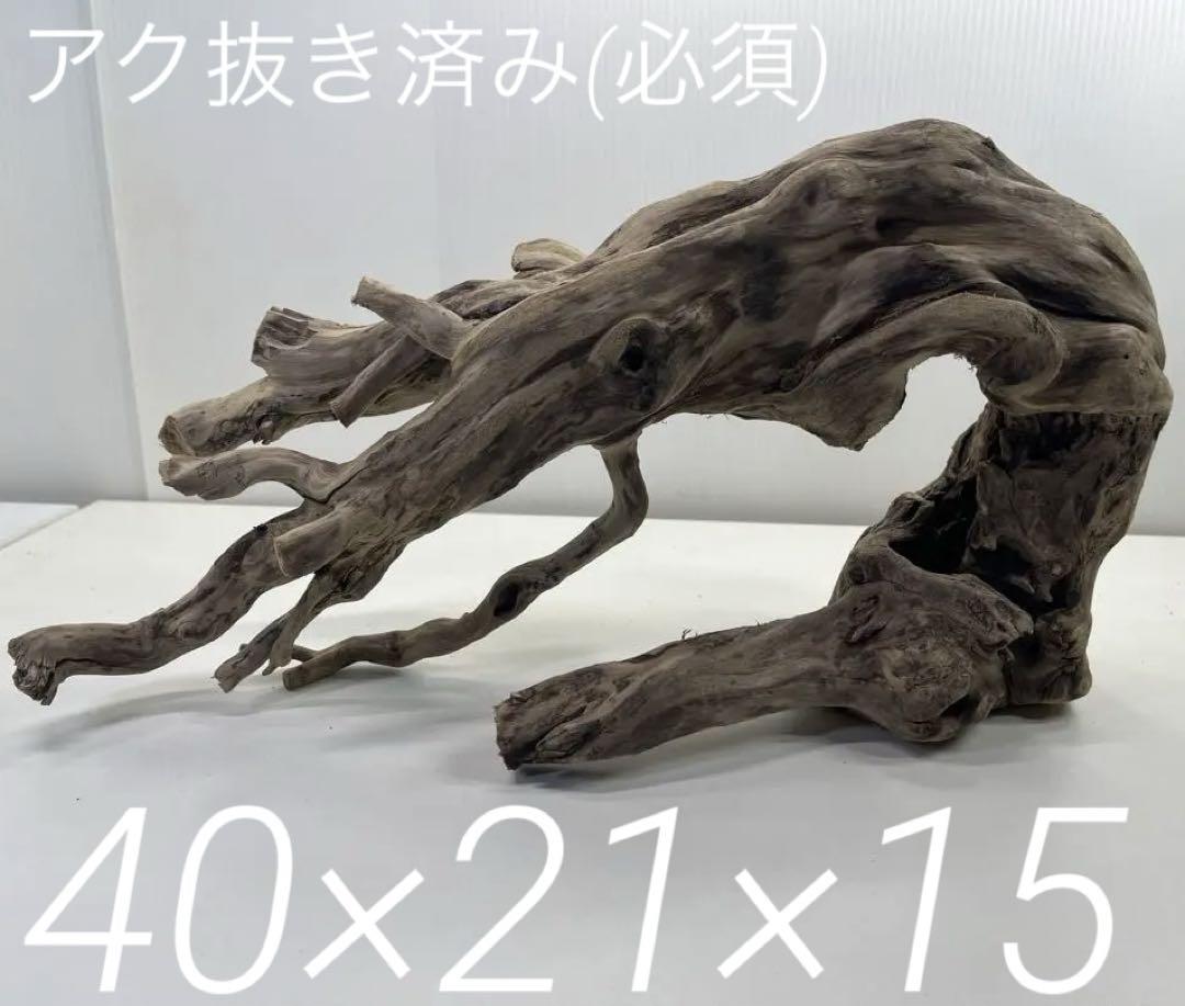 t59アク抜き済み流木セット 爬虫類レイアウト用 シェルター 登り木 インテリア k84アク抜き済み流木 爬虫類シェルター レイアウト用 登り木