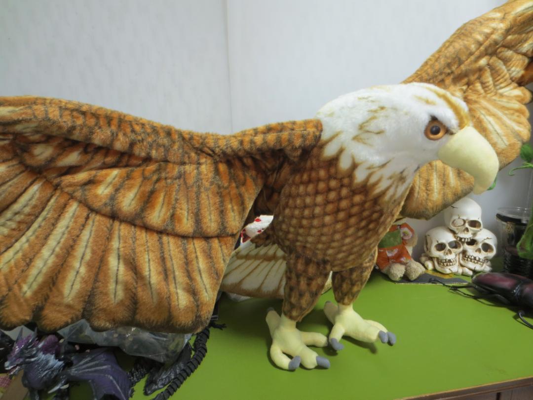 鳥 鷲 鷹 リアル 特大 BIG ぬいぐるみ ヴィレッジヴァンガード 鳥 鷲 鷹 リアル 特大 ぬいぐるみ ヴィレッジヴァンガード