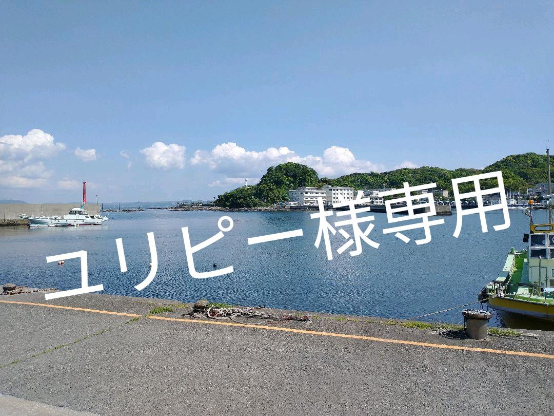 お年玉セール特価】 ロッド フィッシング-spoindia.org
