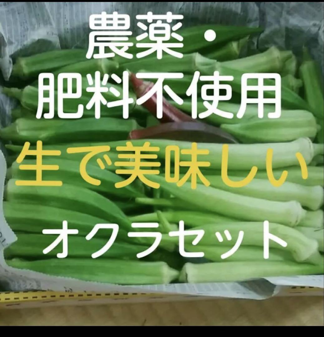 《農薬・肥料不使用》自然の力で育ったオクラ❤コンパクトBOX