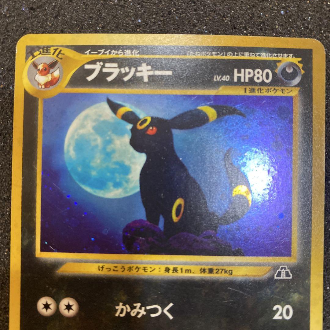 ブラッキー 旧裏　訳あり