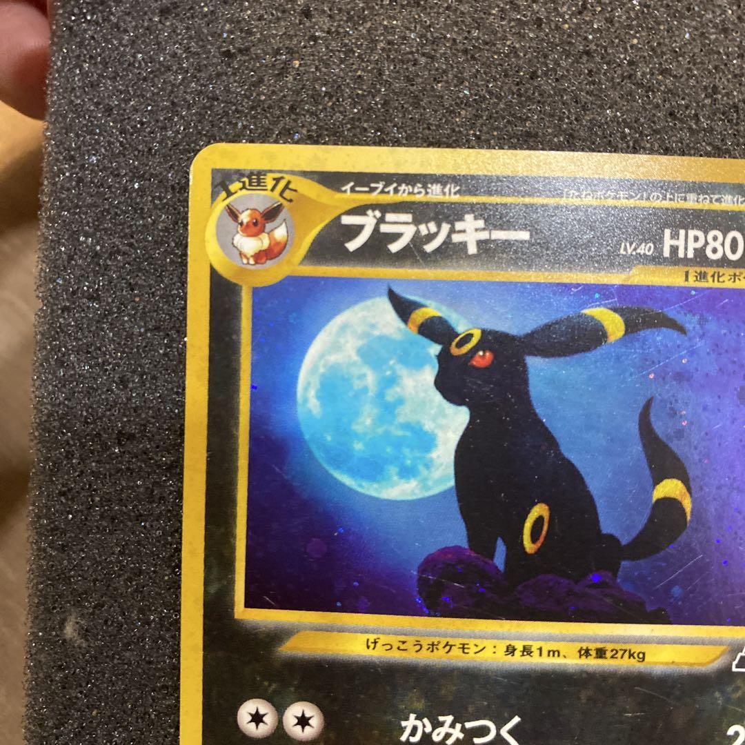 ブラッキー 旧裏　訳あり