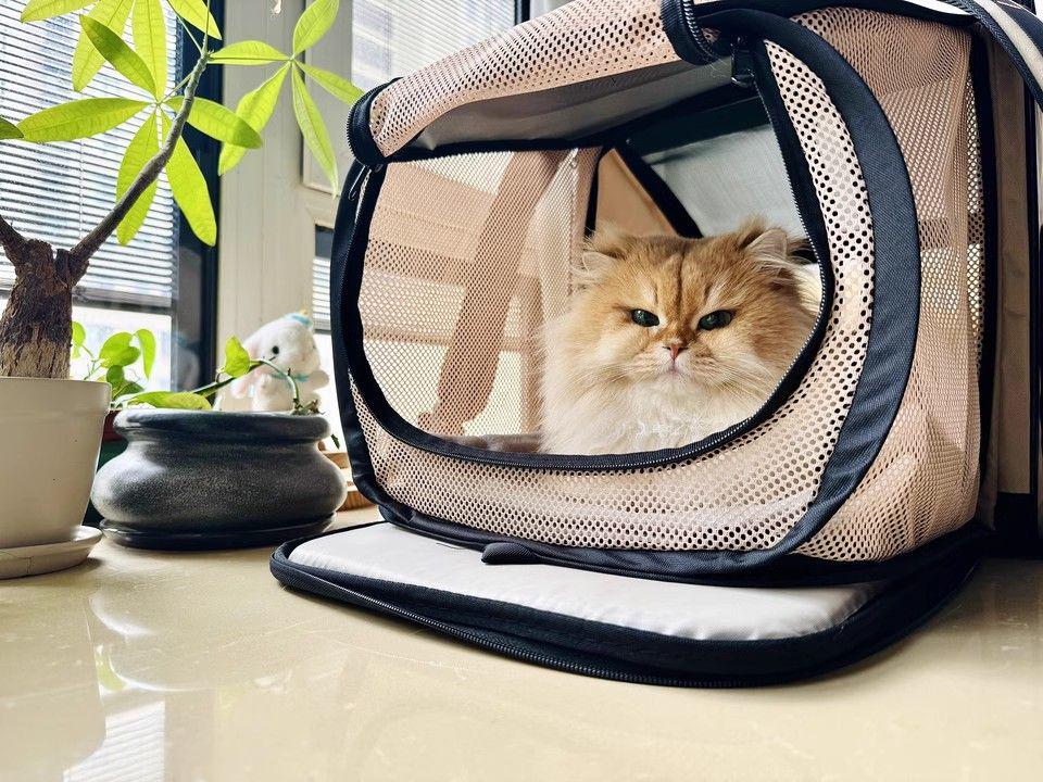 メッシュキャリーバッグ 中型猫用