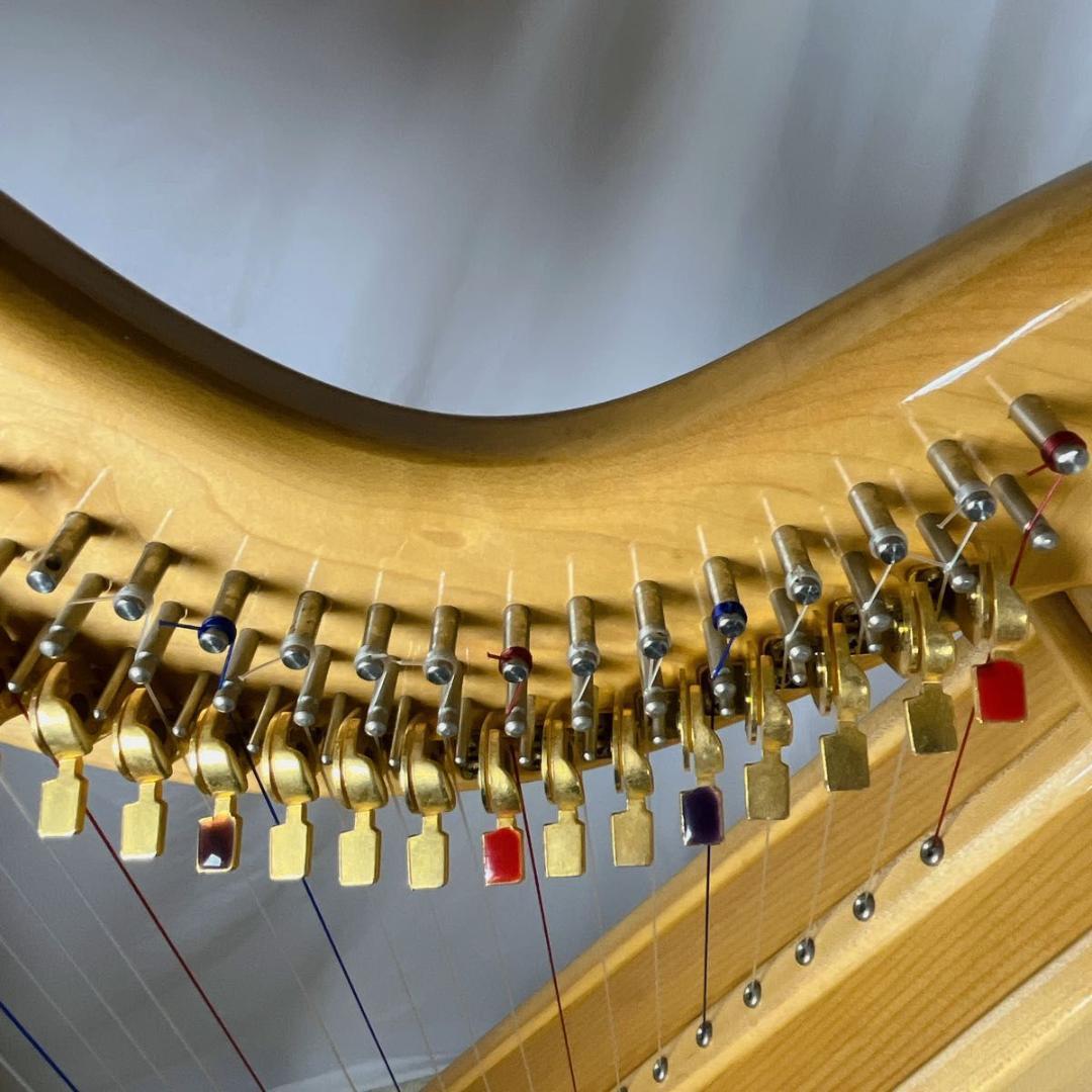 ✨希少✨東京都 神奈川県 引き取り限定 Artone Harp 36弦 ハープ