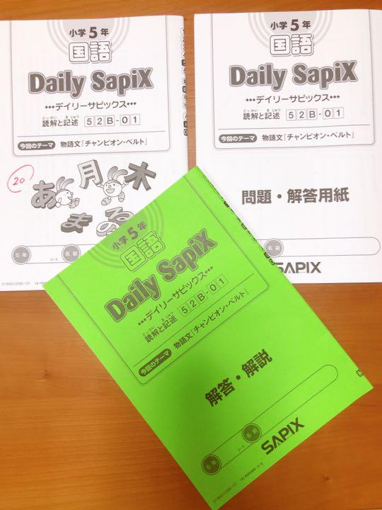 ふるさと納税 19年度 サピックス デイリー 5年 社会 Sapix 参考書 News Elegantsite Gr