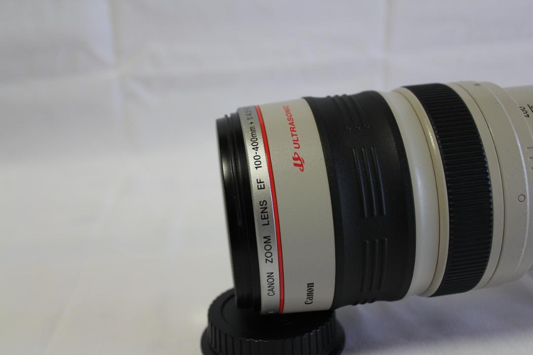 CANON EF100-400mm Ｆ4.5-5.6L IS USM 61ycVEEhKIL._UF350,350_QL50_.jpg