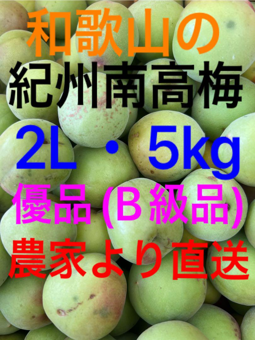 和歌山県産/紀州南高梅/優品/青梅/2Lサイズ/5kg/農家直送