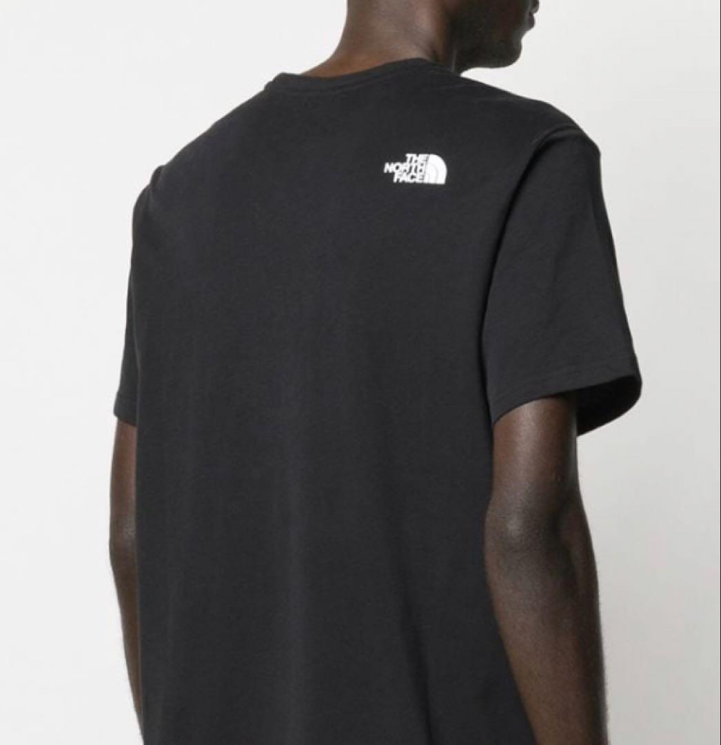 国内正規 新品未使用タグ付 ノースフェイス Panel Border 半袖Tシャツ 黒 Lサイズ レターパックライト370円 新色追加 日本未展開モデル THE NORTH FACE ザ・ノースフェイス