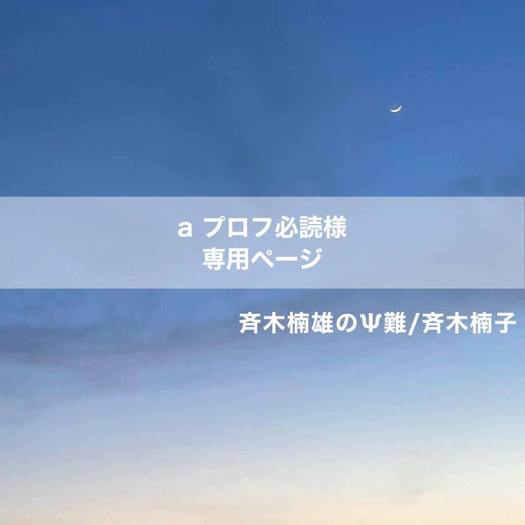 a プロフ必読 ページⅡ