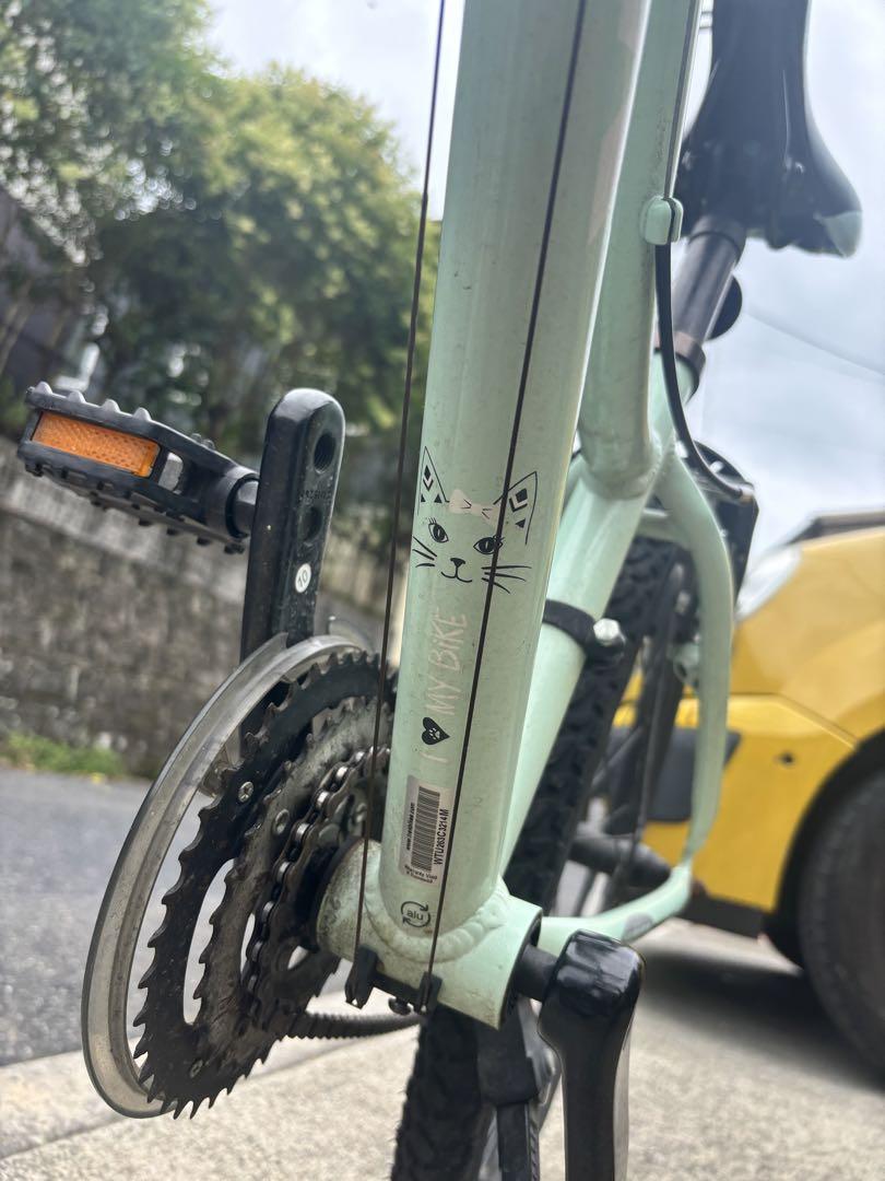 TREK マウンテンバイク 24インチ ミントグリーン　トレック