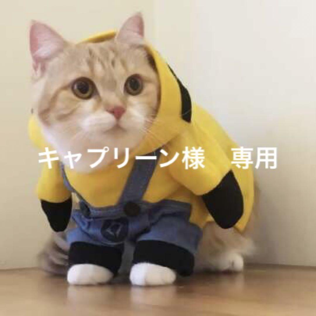 キャプリーン様　専用