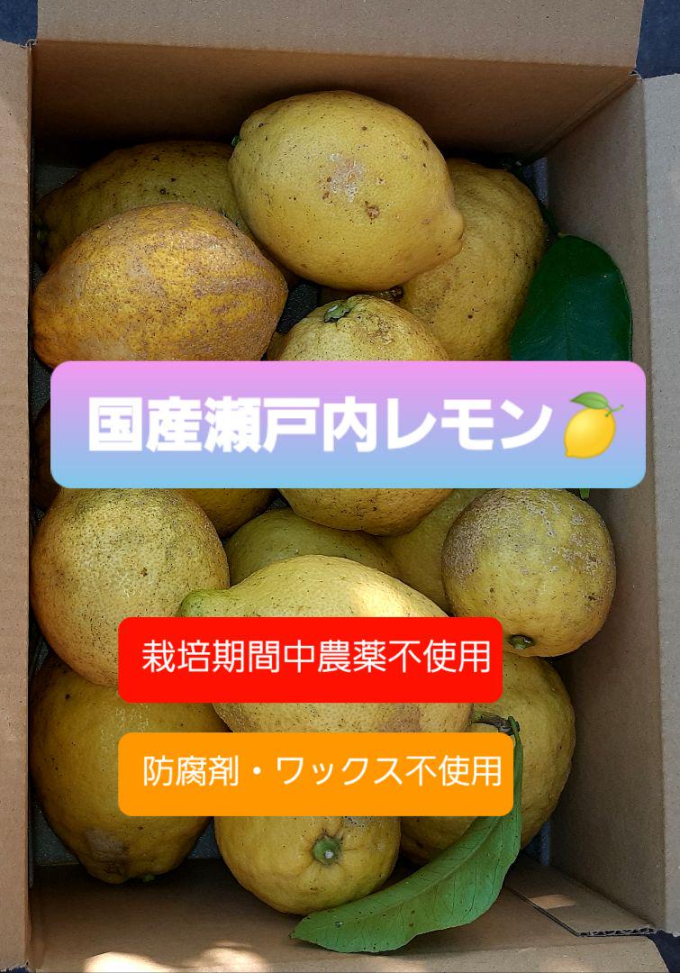 広島県産レモン約5キロ　★訳あり★残りわずか‼️早い者勝ち‼️