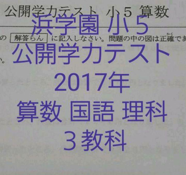 浜学園5年生　算数・国語・理科1年分 浜学園 小5 3科目（算数・国語・理科）Sクラス 復習テスト 1年分