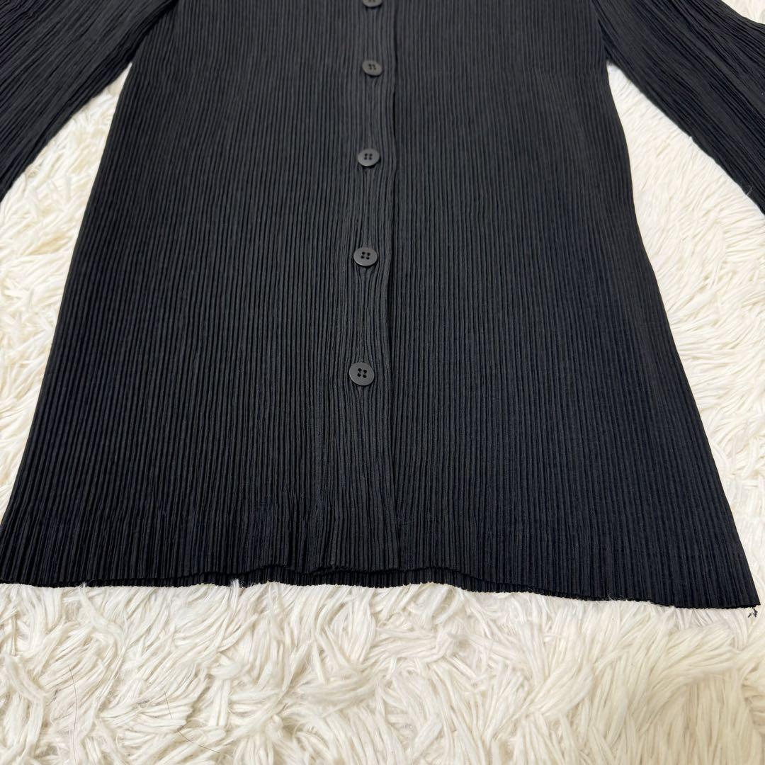 専用✨ISSEY MIYAKE プリーツ　ブラック　透け感　長袖 専用✨ISSEY MIYAKE プリーツ ブラック 長袖
