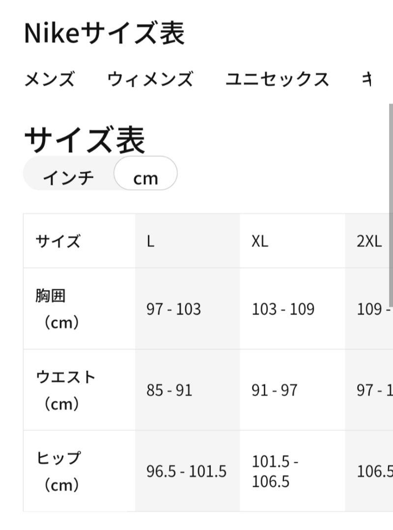 ナイキ パリサンジェルマン ジョー ダン パーカー 新品国内正規品 XL