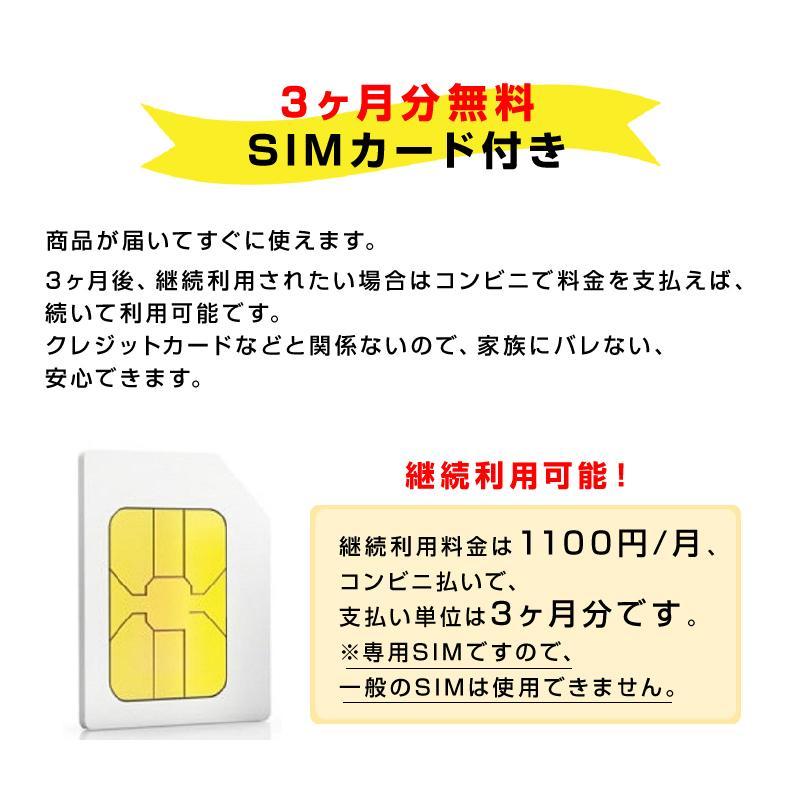 GPS 発信機 小型 SIM付き 90日使い放題 10000mAh リアルタイム