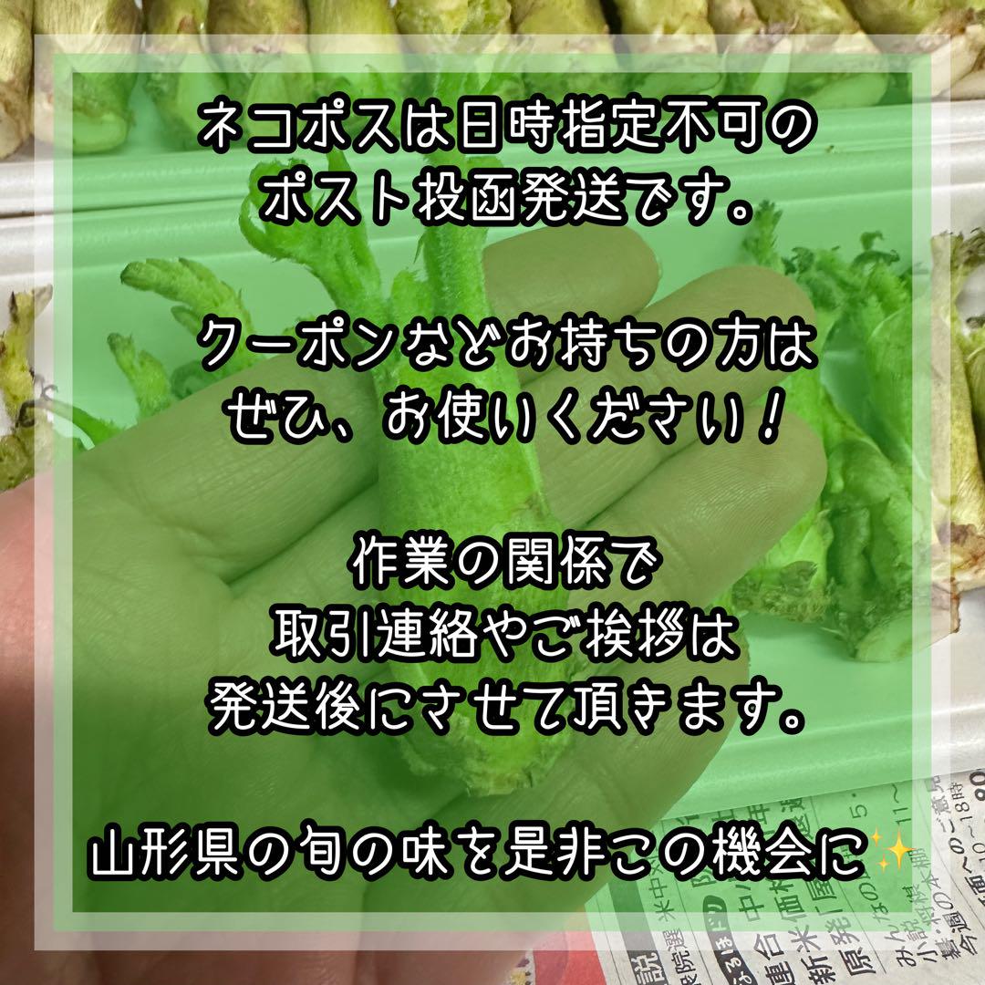 専用 タラの芽 3セット分