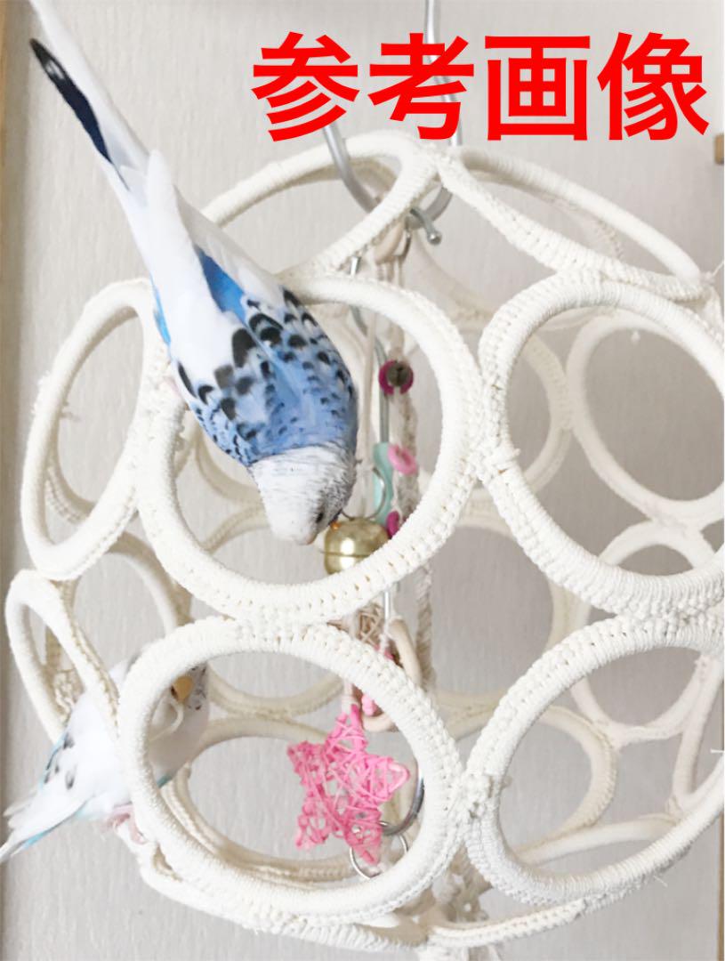 ♡球体バードジム♡オーダー専用ページ - メルカリ ♡球体バードジム♡オーダー専用ページ - メルカリ
