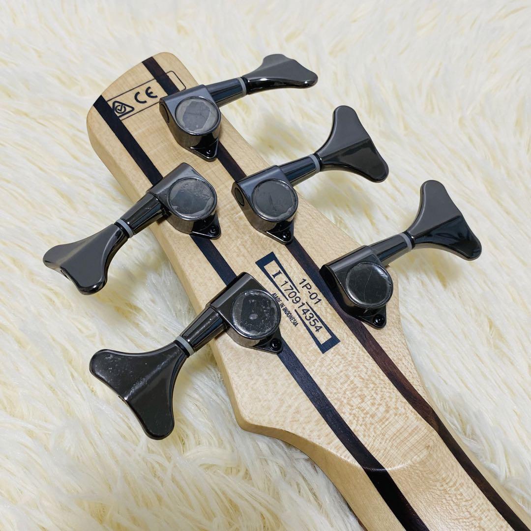 Ibanez SR305E 5弦 エレキベース アイバニーズ SDGR