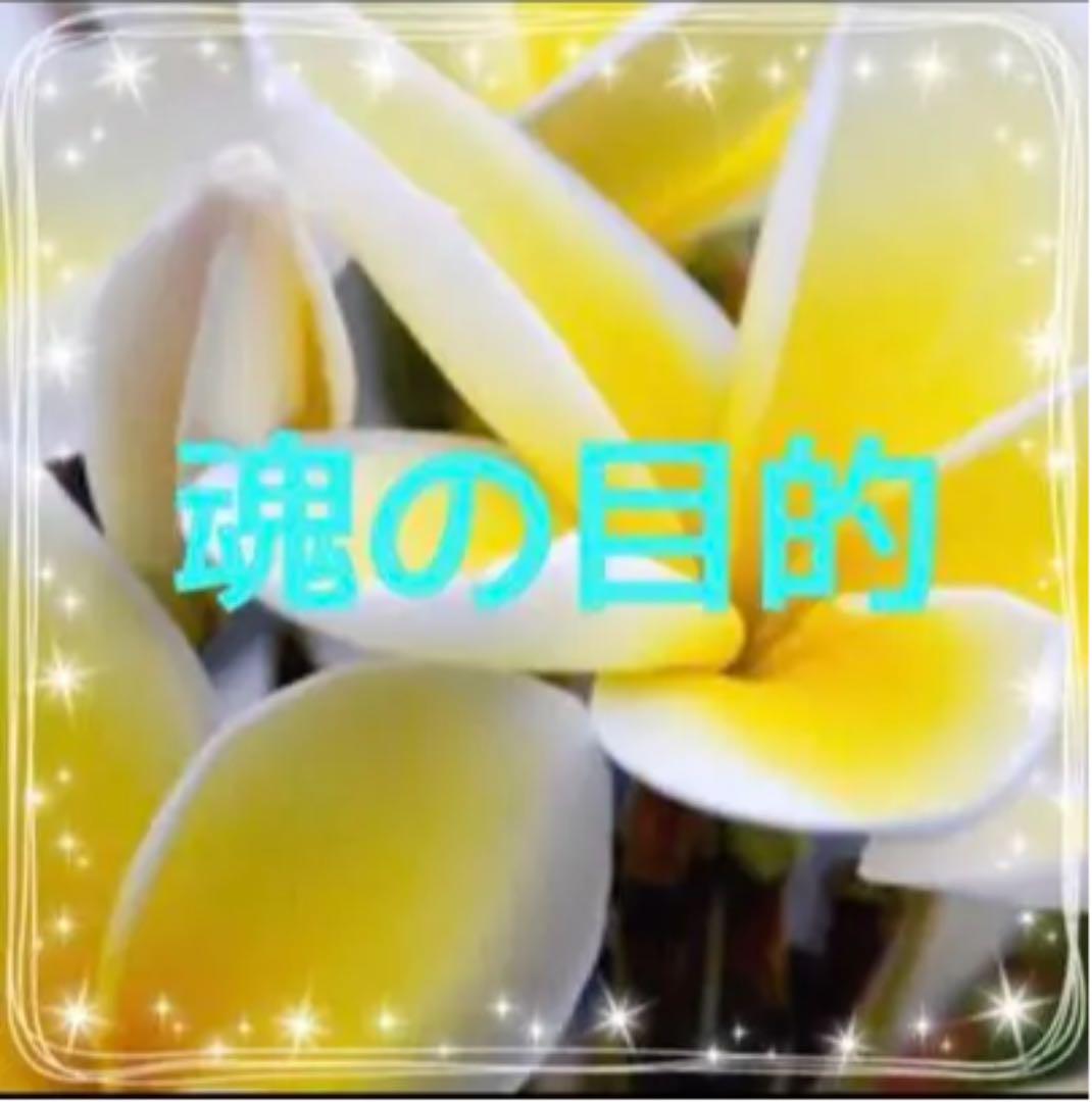 魂の目的リーディング