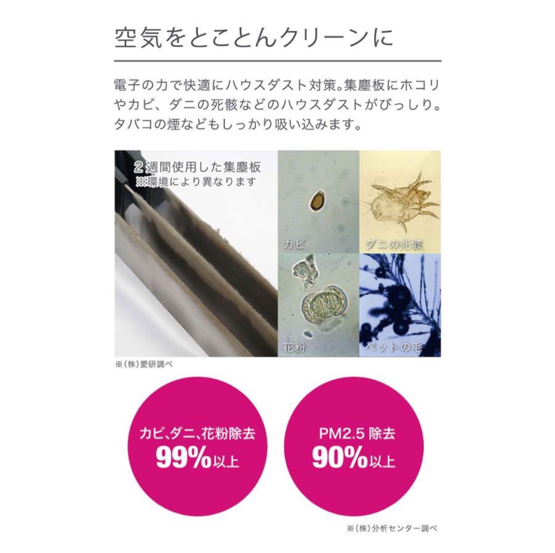 【 花粉やアレルギー対策 】 イオニックブリーズ フィルター交換不要 空気清浄機