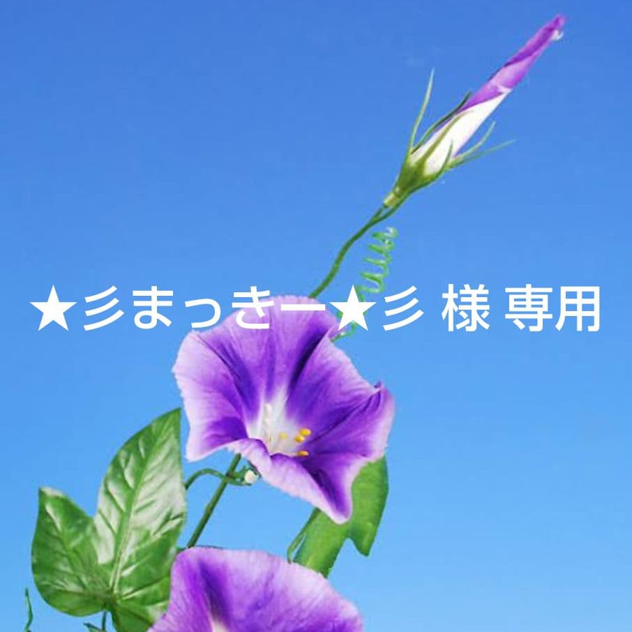 ★彡まっきー★彡 様 専用