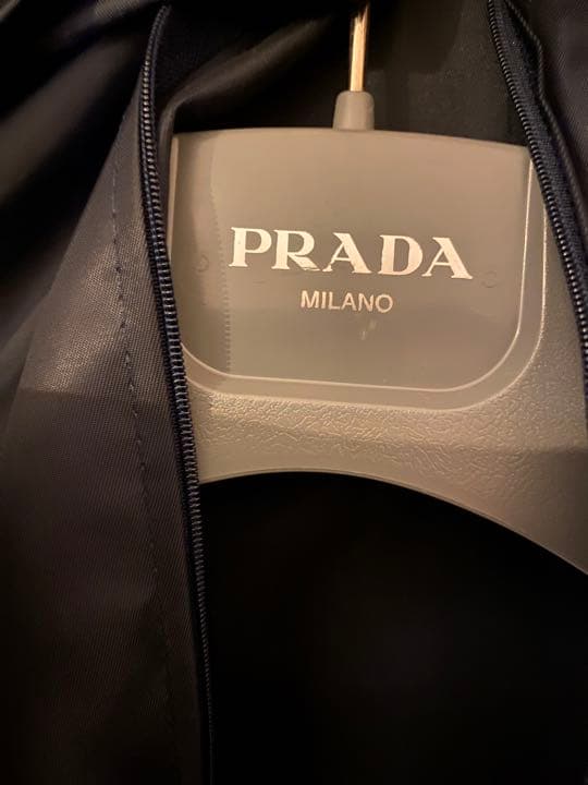 少し豊富な贈り物 LOUISVUITTON GUCCI ルイヴィトン/ガーメントケース