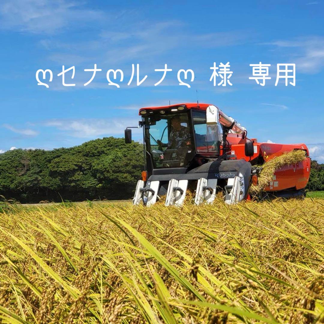愛知県産コシヒカリ 白米20kg