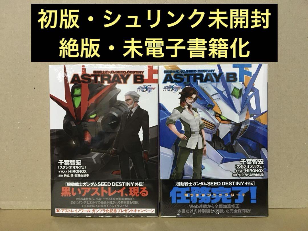 Amazon.co.jp: 機動戦士ガンダムSEED DESTINY ASTRAY B (下