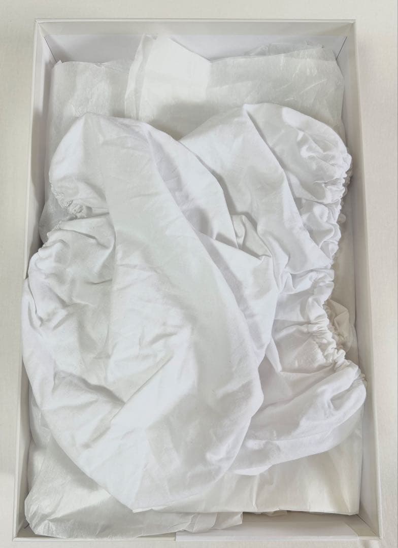 インスタポンプフューリー 24.5cm