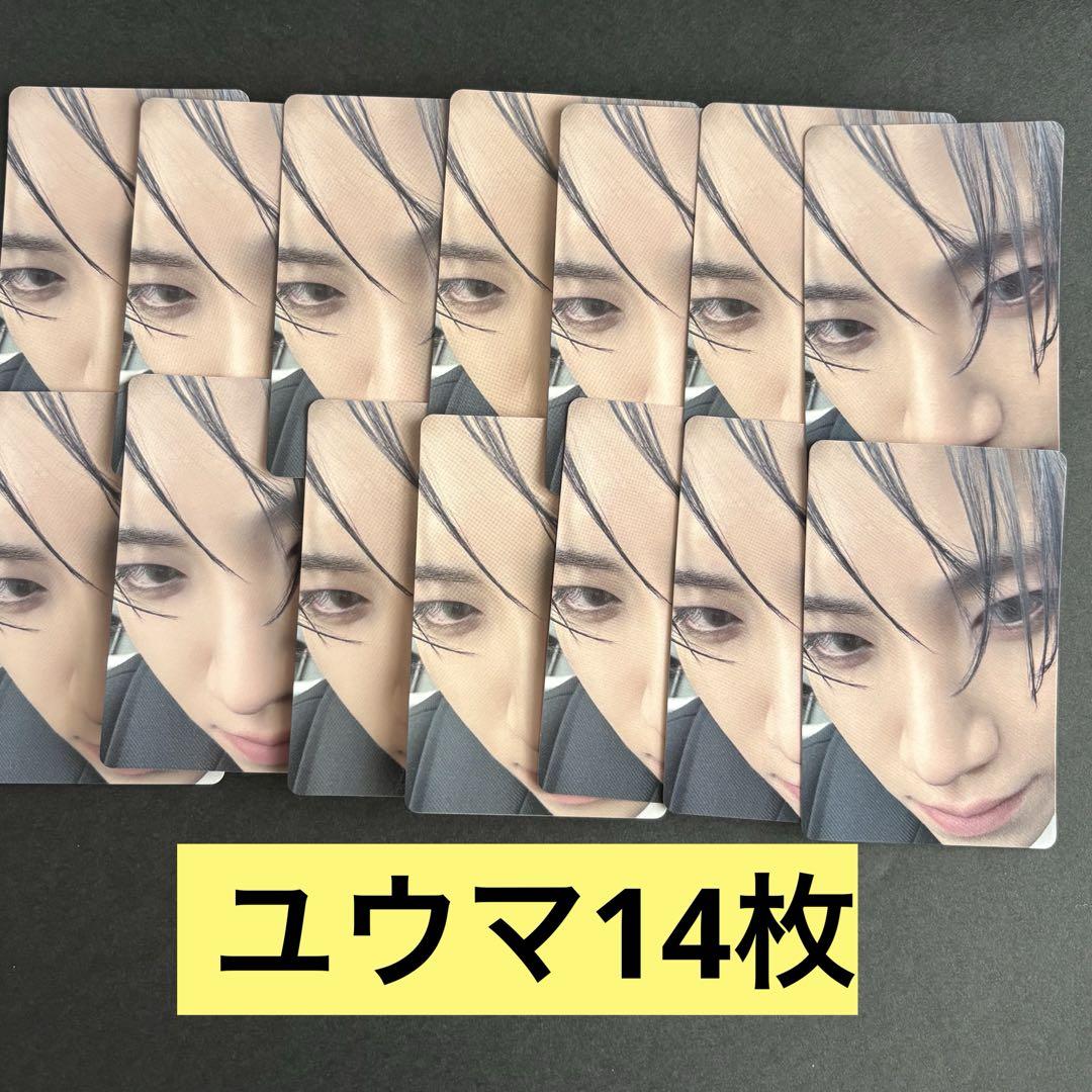 &TEAM ユウマ 月狼 ソロジャケ 封入 トレカ 14枚セット NEWS | &TEAM OFFICIAL SITE