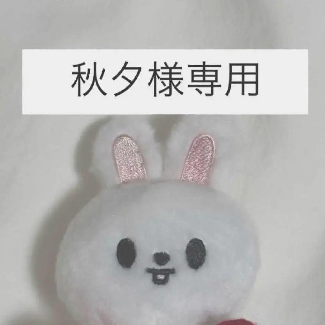 秋夕様専用
