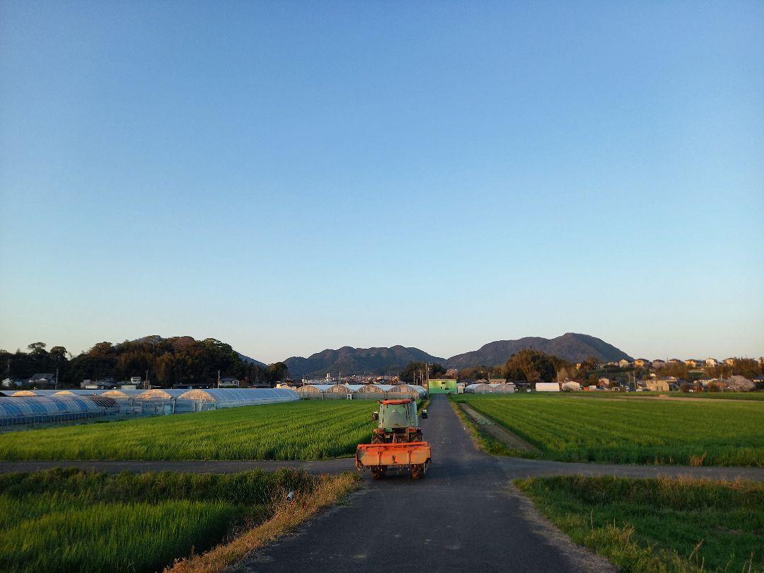 農薬不使用令和6年度産福岡県産宗像　特別栽培米『元気つくし』30kg