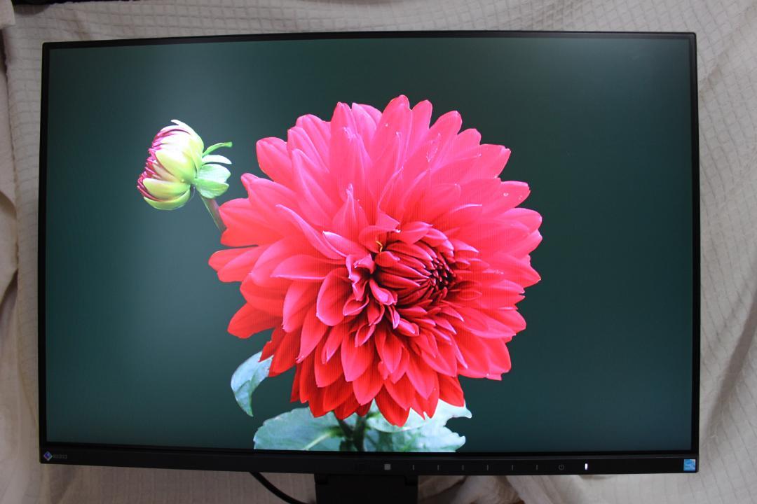 EIZO FlexScanEV2455-BK 24.1インチフレームレスモニター