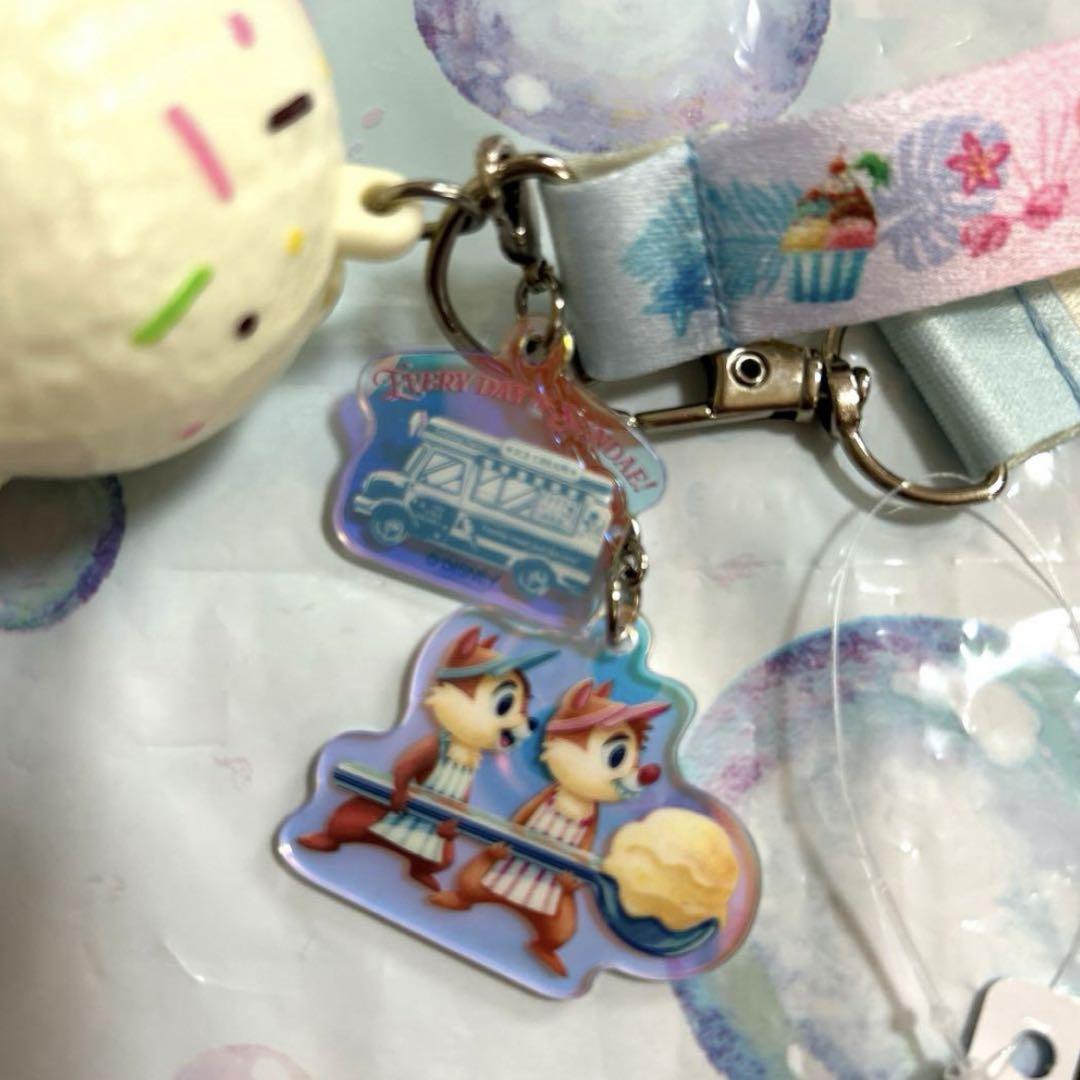 クリアなポケット付き！東京ディズニーランド「SUNNY SUNNY