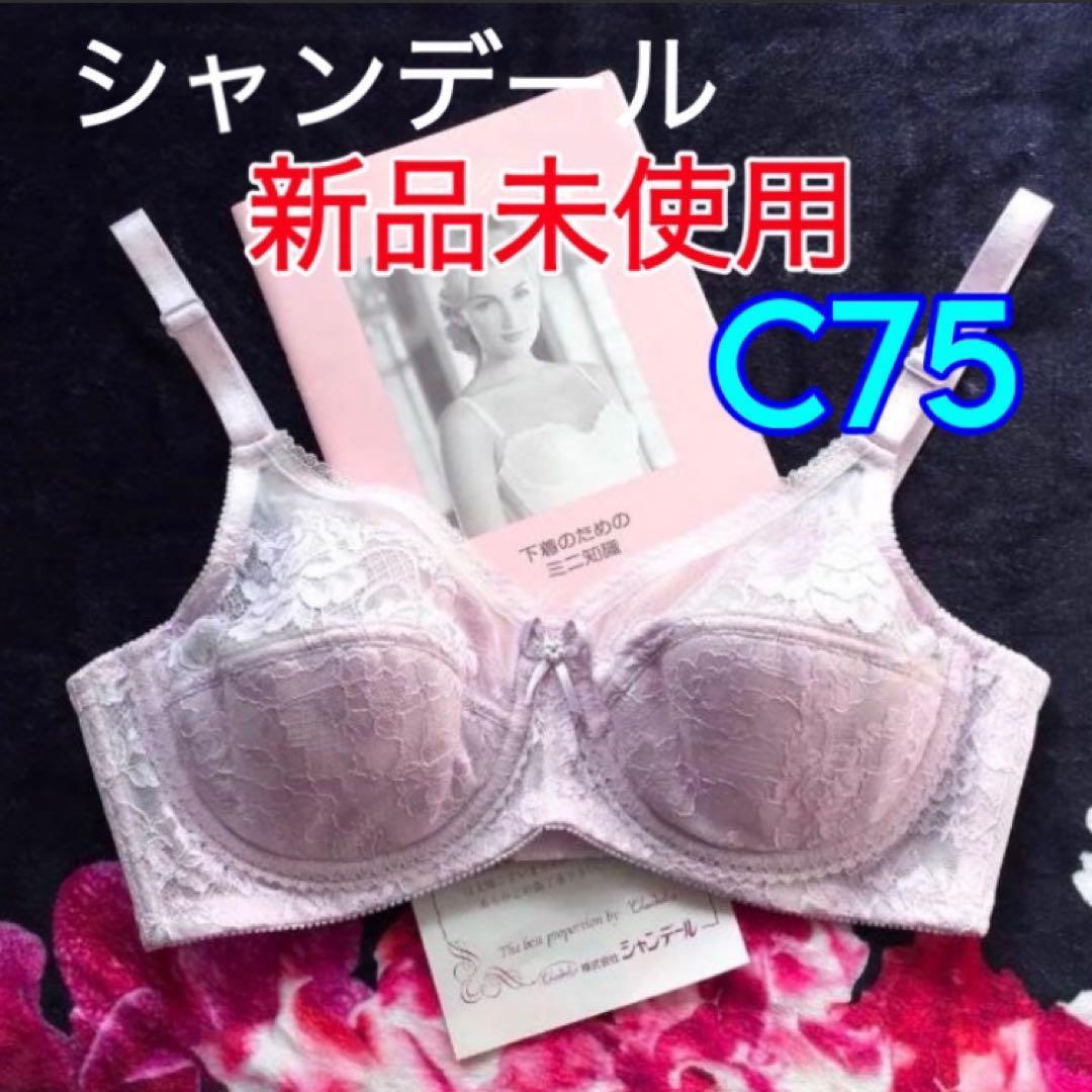シャンデール ブラジャー C75【新品未使用】ピオニーパープル 補正下着
