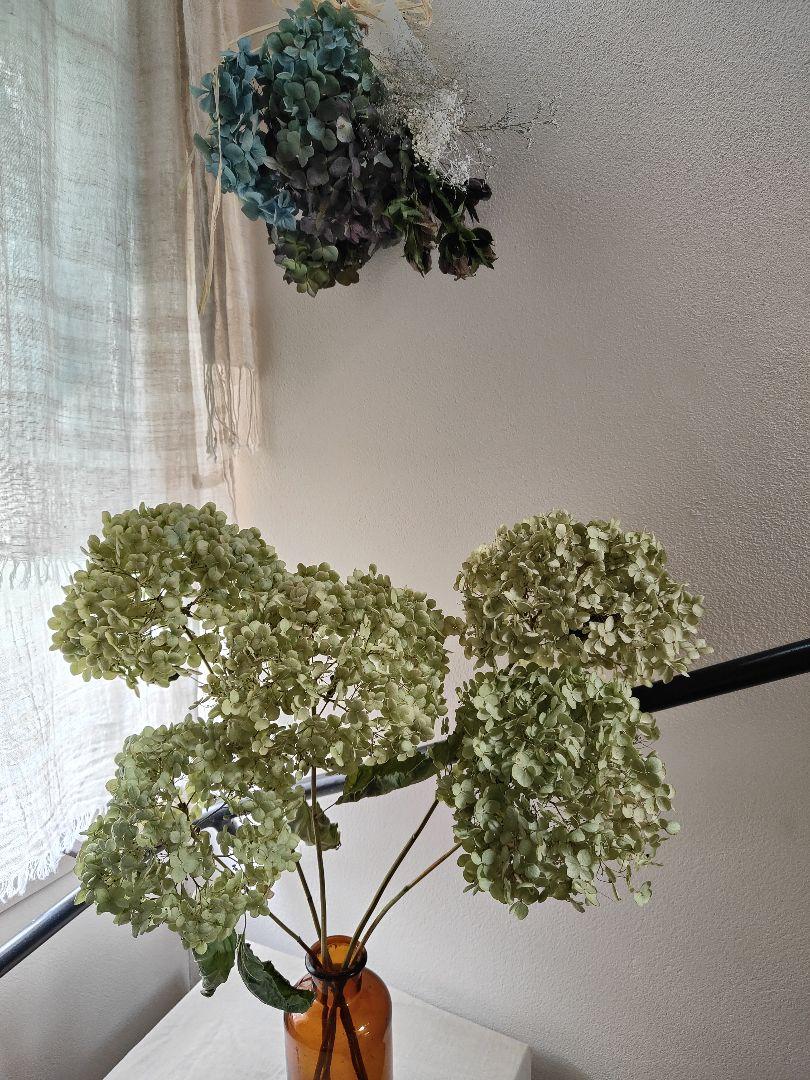 タンポポアナベル茎付き５本セットと秋色紫陽花とクリスマスローズのスワッグ