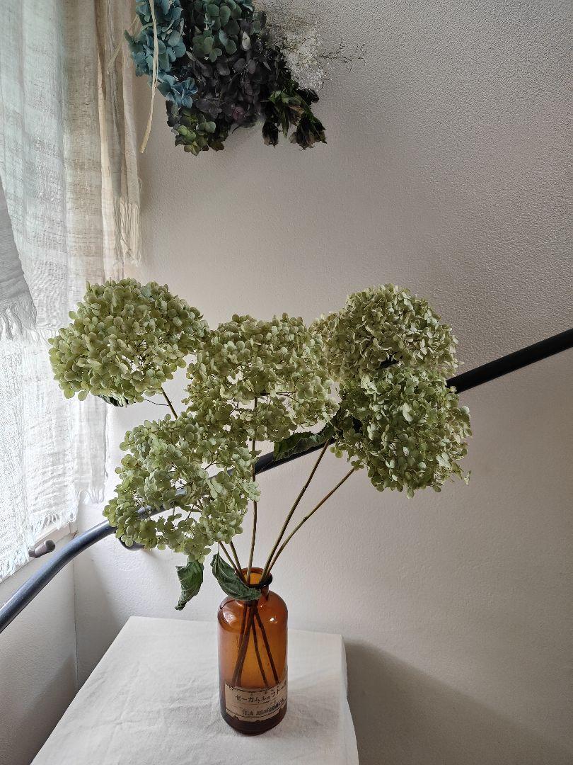 タンポポアナベル茎付き５本セットと秋色紫陽花とクリスマスローズのスワッグ