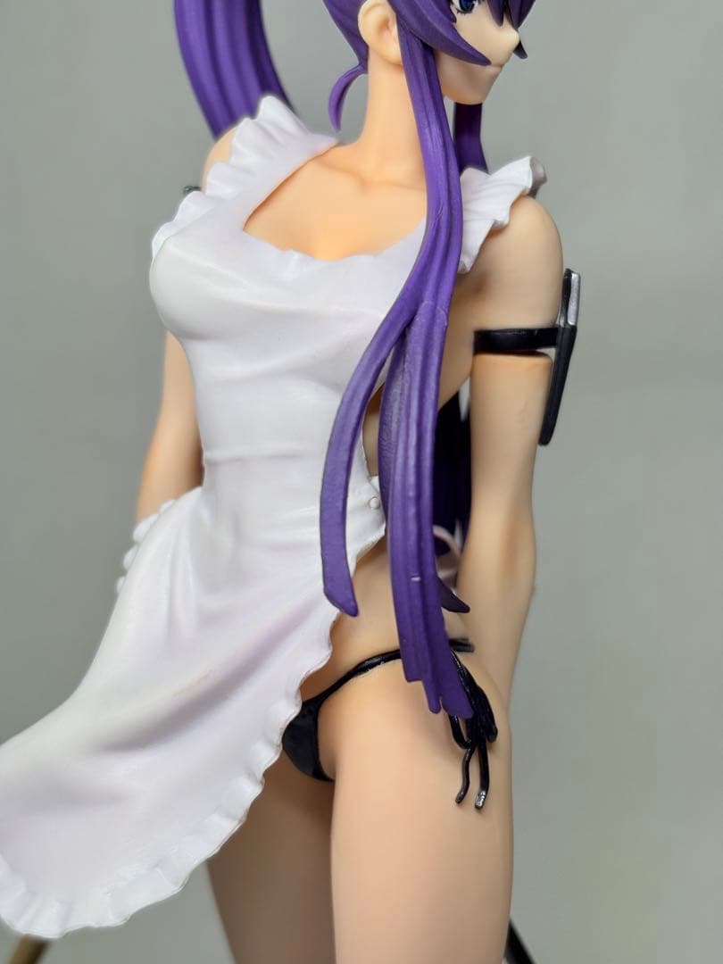 キャラアニ　学園黙示録 HIGHSCHOOL OF THE DEAD 毒島冴子