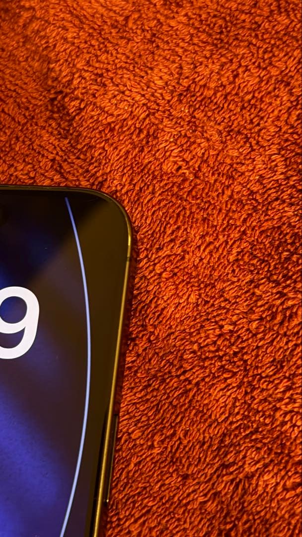 iPhone 15 Pro MAX 256GB ケースおまけ付き iPhone 15 Pro MAX 256GB ケースおまけ付き