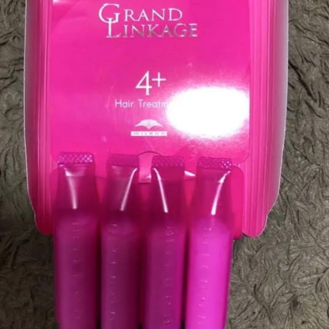 トリートメントおまけ付きお値引中超美品2点セットウンガロバックロゴ入りバッグ