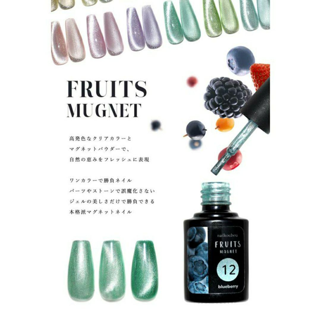 FRUITS MUGNET ジェルネイル12色1セットのみ　新品正規品